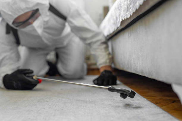Professional Bed Bug Control technician working in Albers, IL
